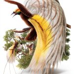 Penguin History of Malaysia Kindle Edition-0
